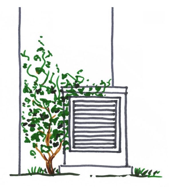 illu_2_web Fassadenbegrünung Rankhilfe