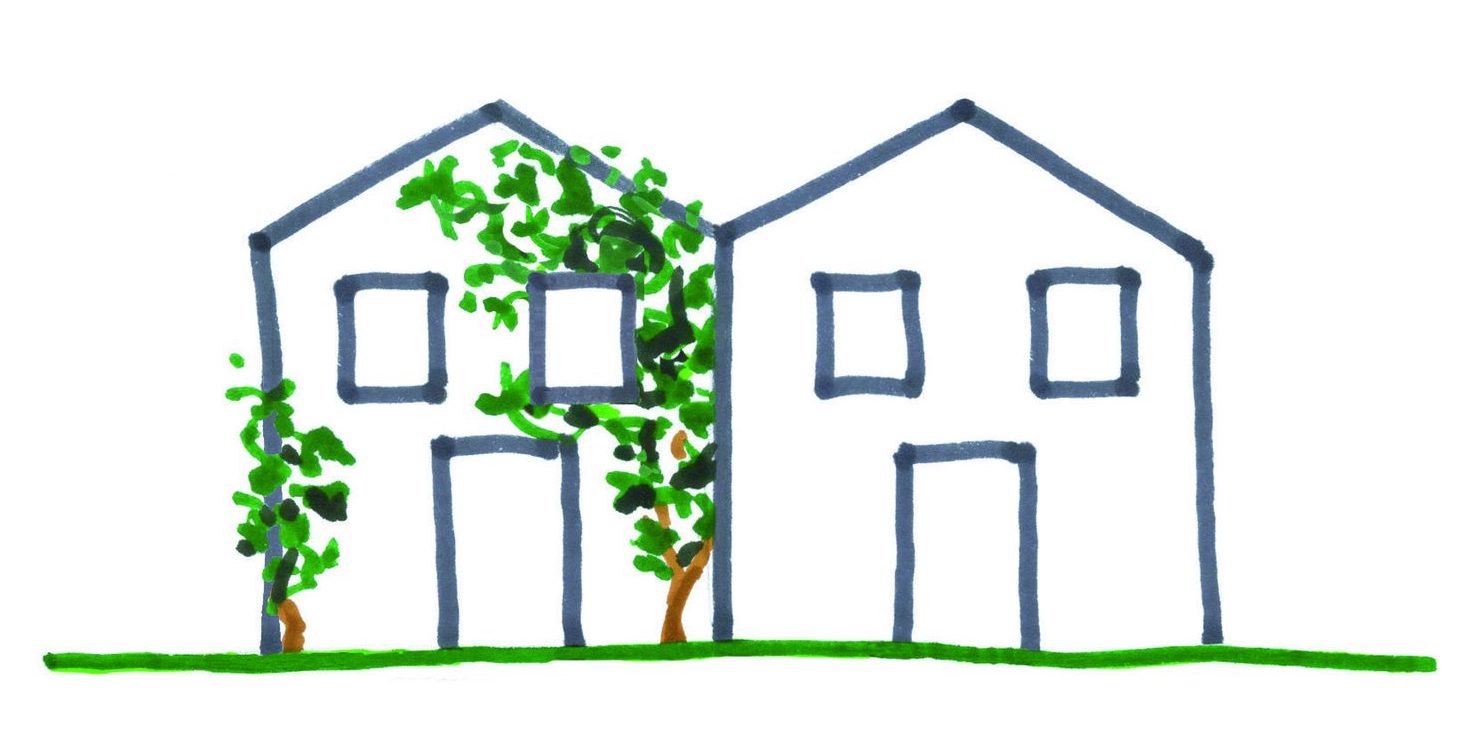 illu_3_web Fassadenbegrünung Rankhilfe