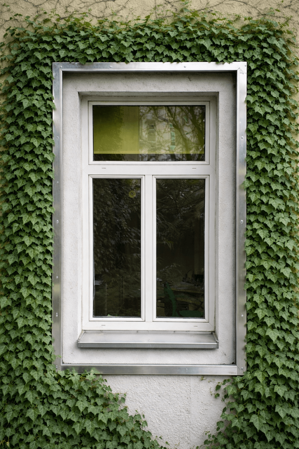 ClimberManagerWindow 2